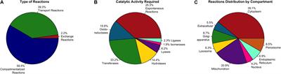 Multiple Pathways Involved in Palmitic Acid-Induced Toxicity: A System Biology Approach